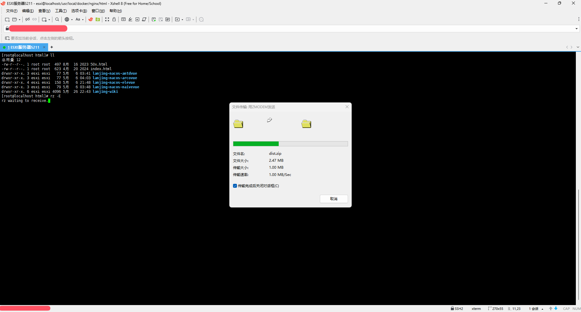 Nginx